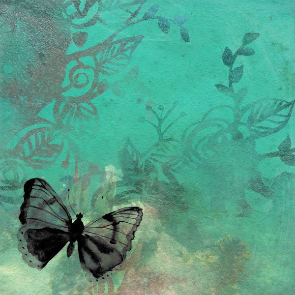 butterfly-1
