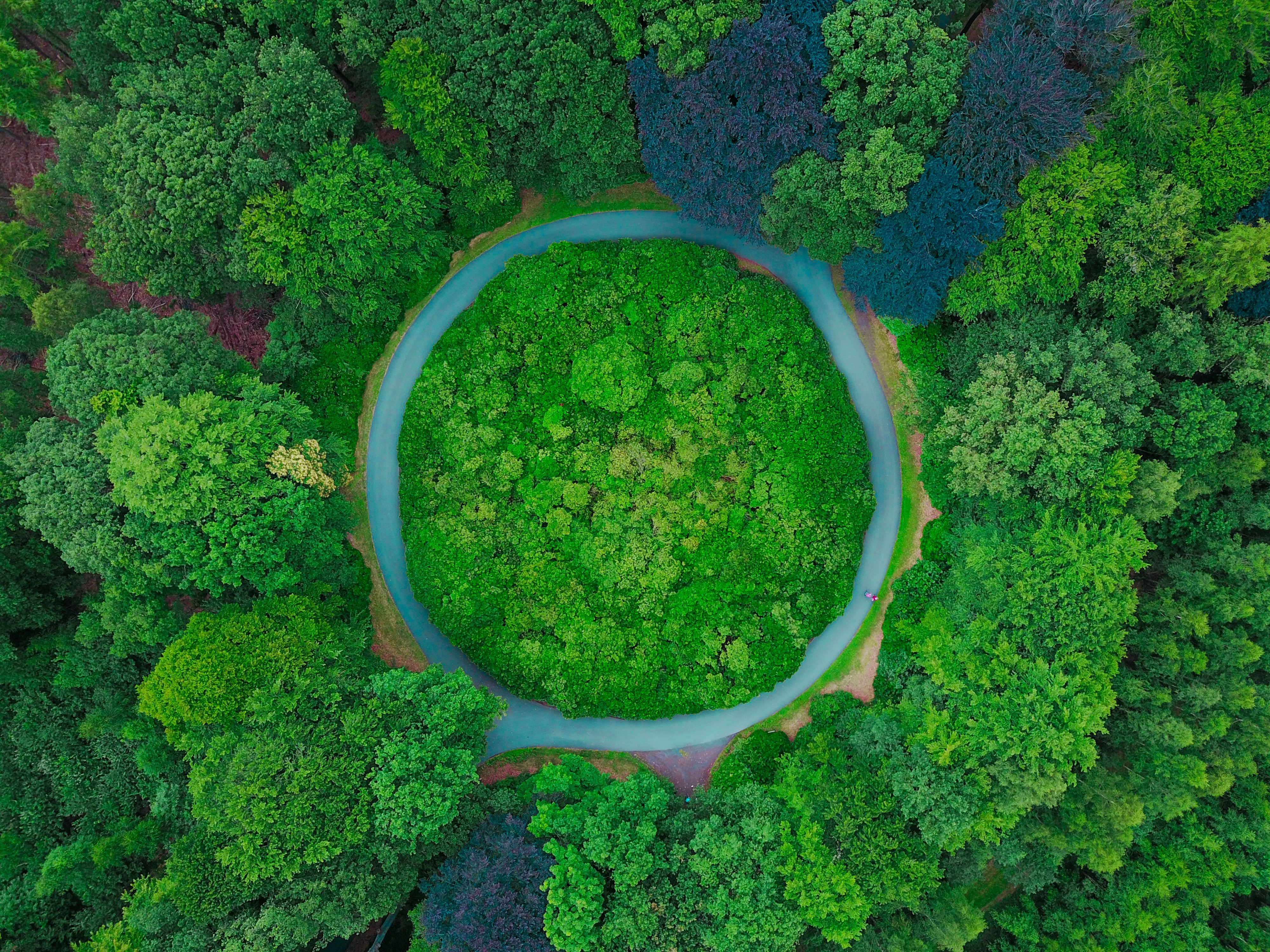 circle (1)