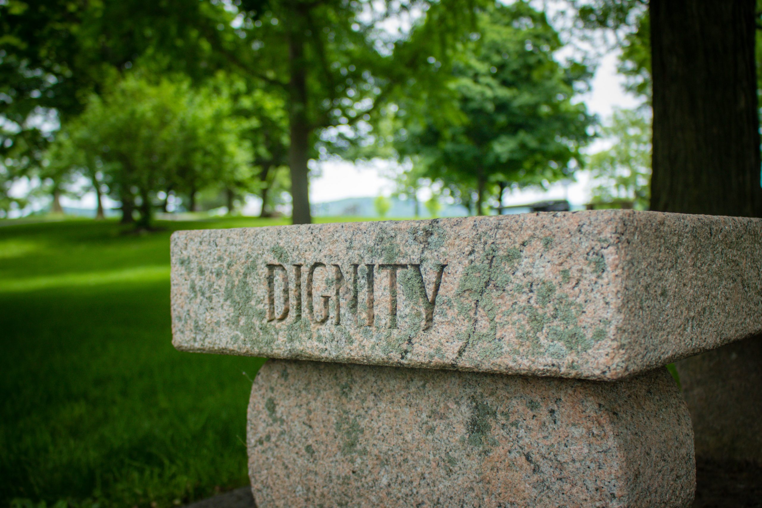 dignity